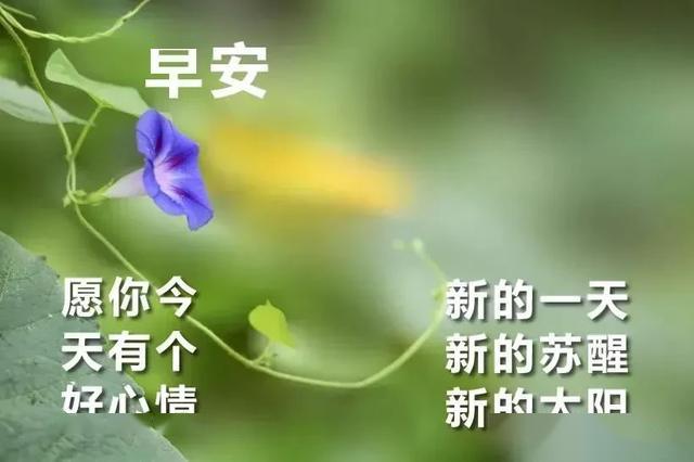 早上好唯美暖心问候语 早安祝福语漂亮图片