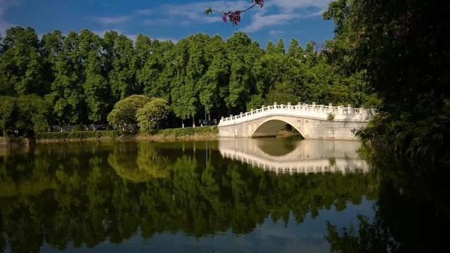 广东@逆袭!专插本有多少所大学参与?公办有多少所?