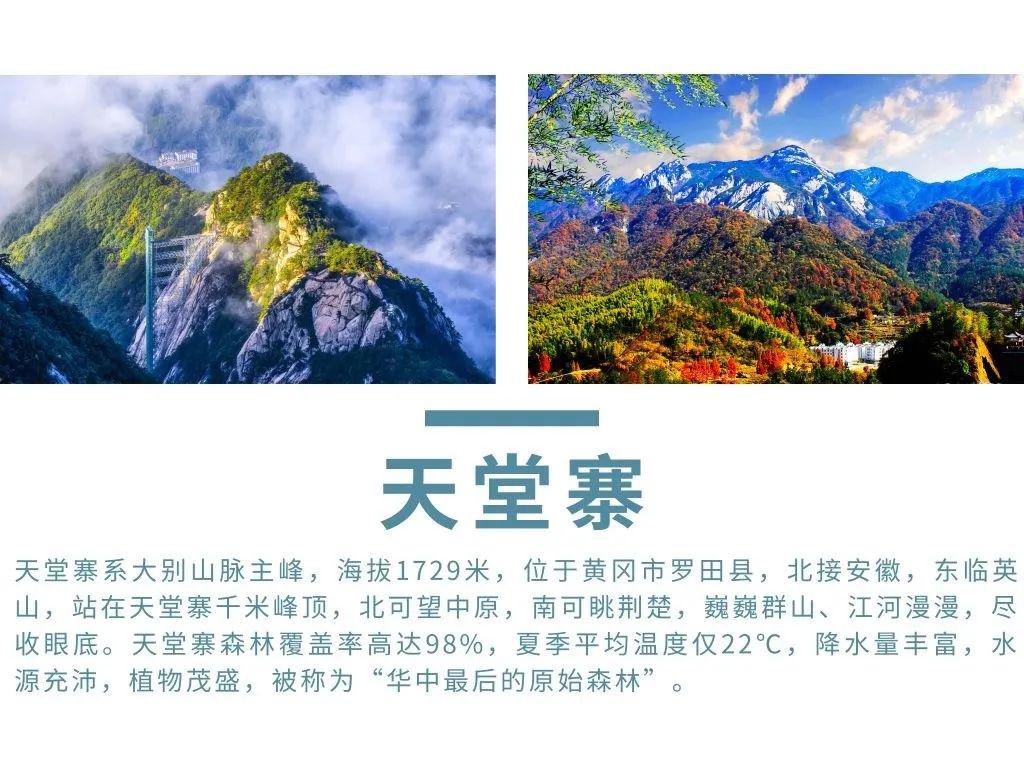 2b731e479c974e838a7512a5042ef32f.jpeg