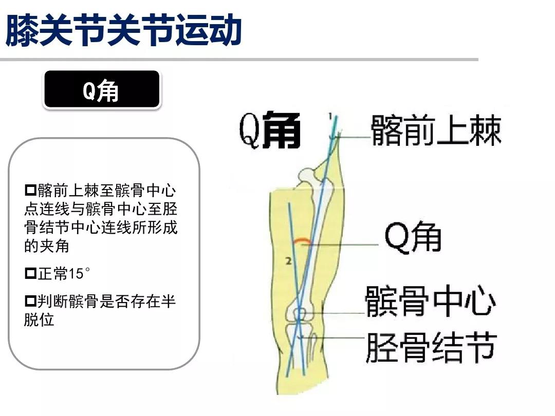 膝关节运动解剖学基础