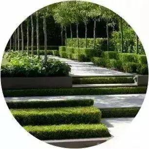植物景观空间具有第四维界面 园林植物景观空间和建筑空间最大的区别