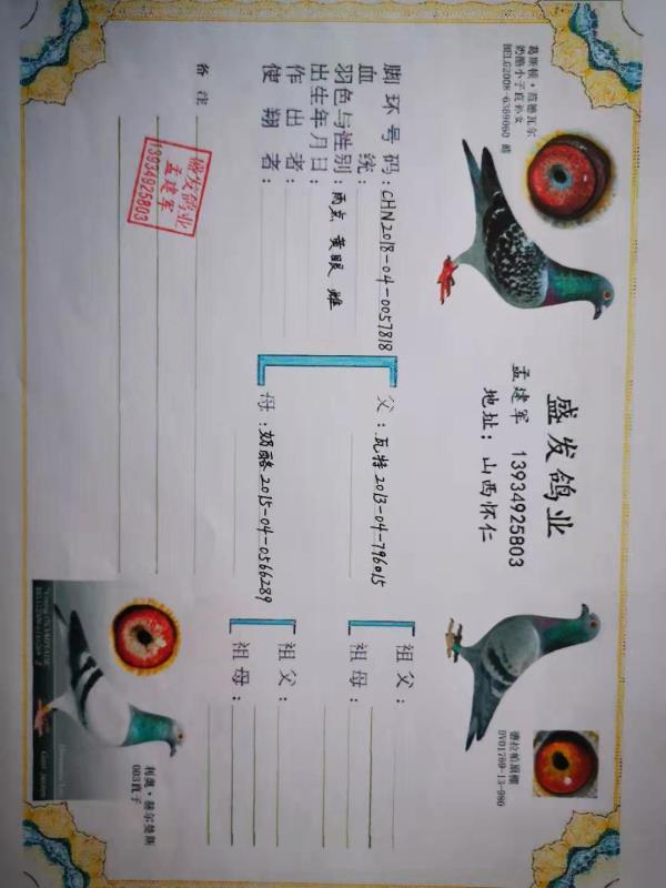 王冠军书法 2df77757b6b74be78c1abe8c4aab7767.jpeg