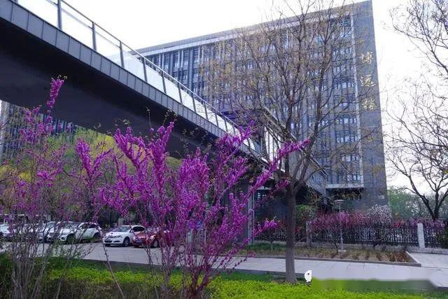 办学：北方工业大学：2020年新增中外合作办学机构（布鲁内尔学院