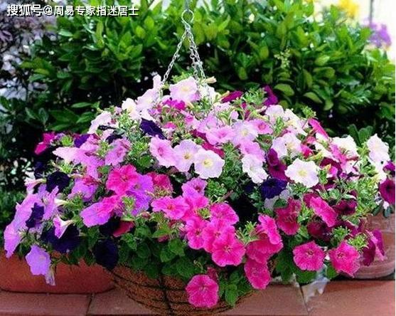 属虎人运气2021年农历三月运气算命查询