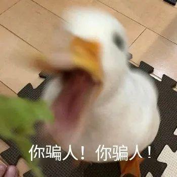 说啥都不信还有必要说吗 4773ba2c73dc45179b0738588501f65c.jpeg