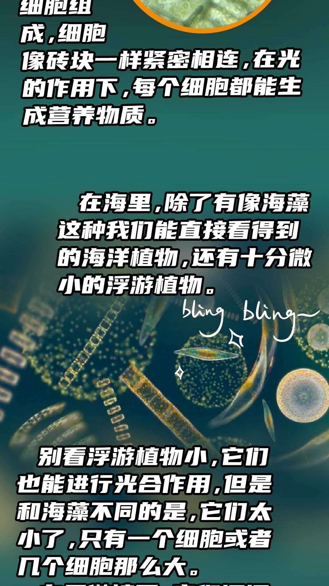 4ffff611b4fc46718a6723cb7cd57830.jpeg