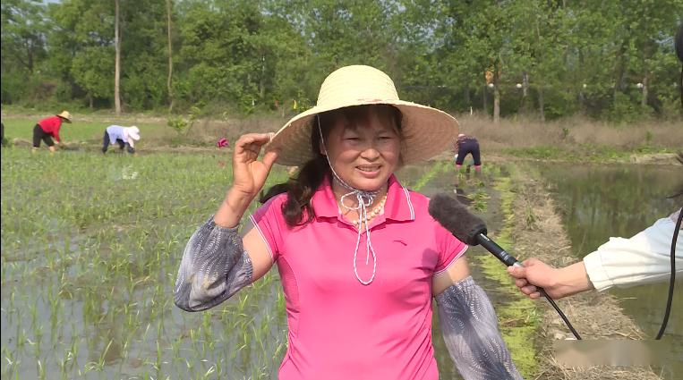 深圳免税董事长陈少群(2)