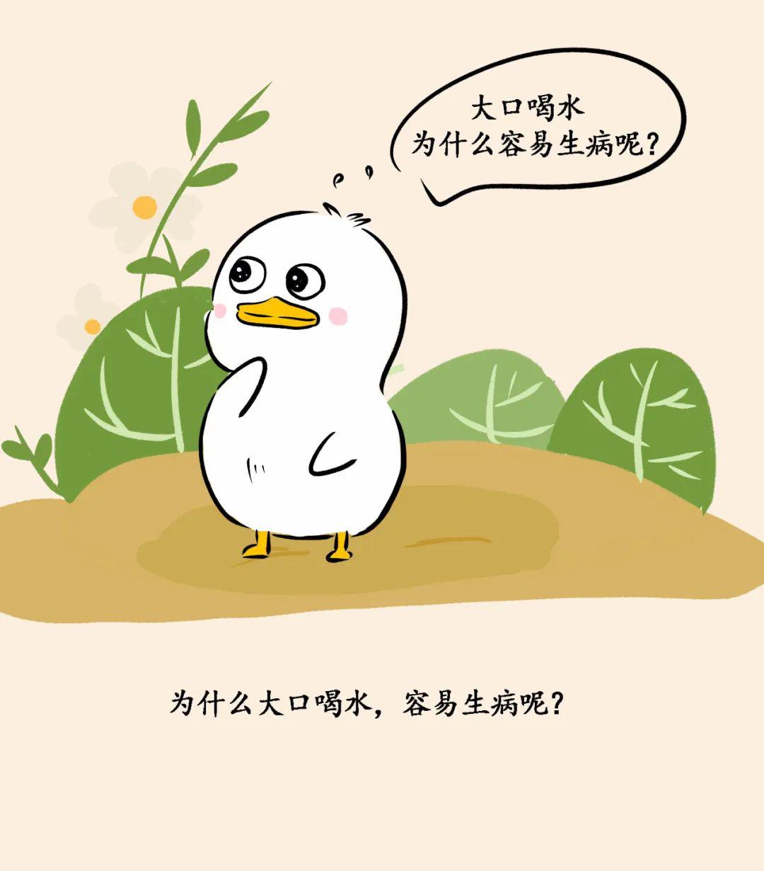 558cc865ed5d4c93b525ebbbab2865b4.jpeg