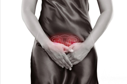 女人怎么保养自己子宫 5cebb57cd2214efdabd9294a90e336a8.png