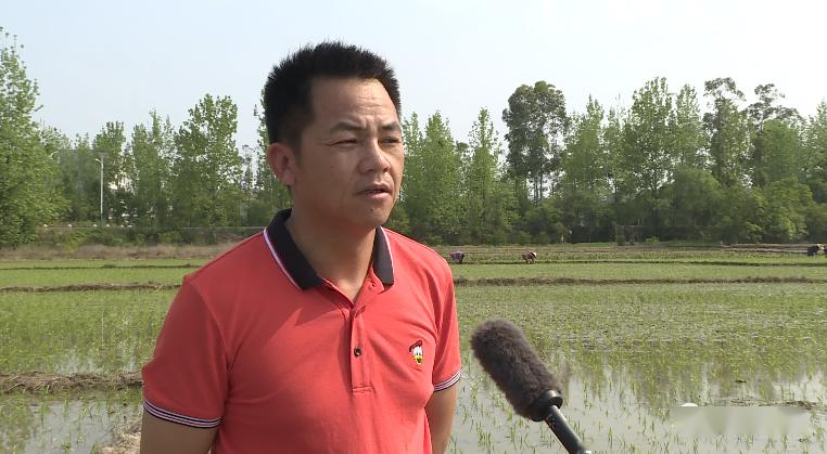 周田镇春耕生产有序推进
