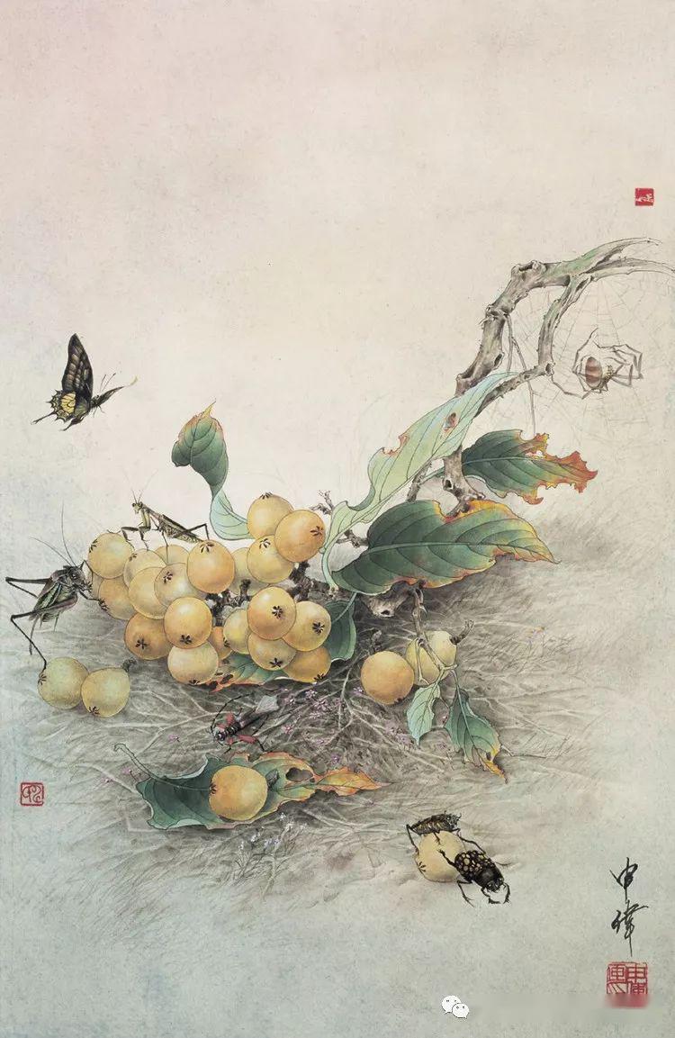 中国画家申伟工笔花鸟精品欣赏
