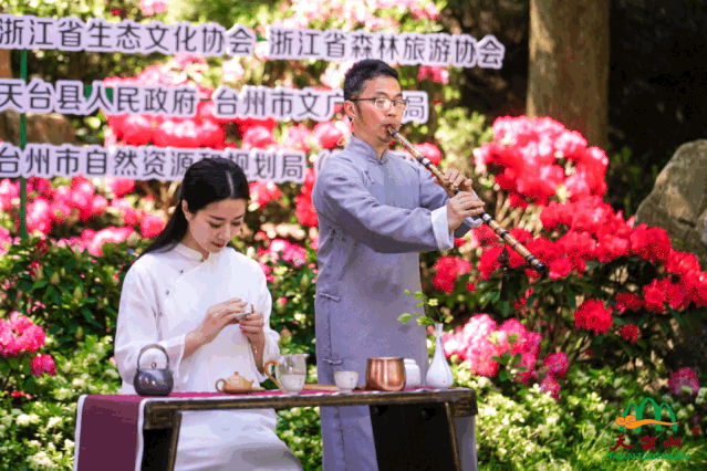 2020年天台山云锦杜鹃节缤纷开幕!