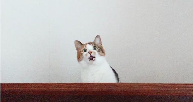 瓜落之后,蒋凡冤否?