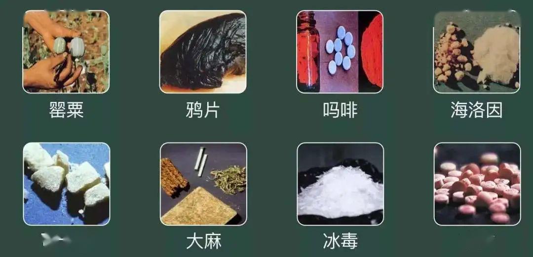 家校合力 携手同行 共筑禁毒防线_毒品