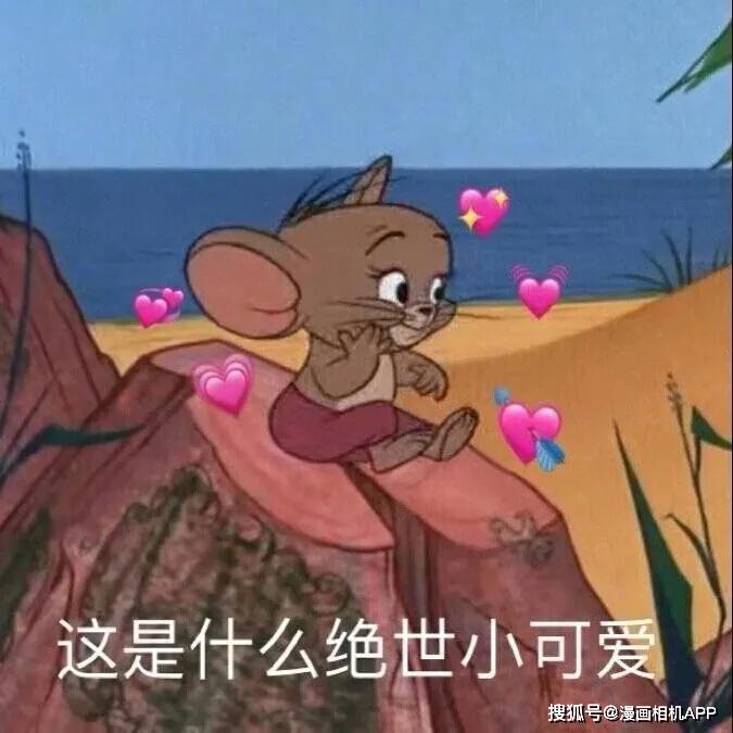 表情包丨你长大了,一个人要学会照顾自己!