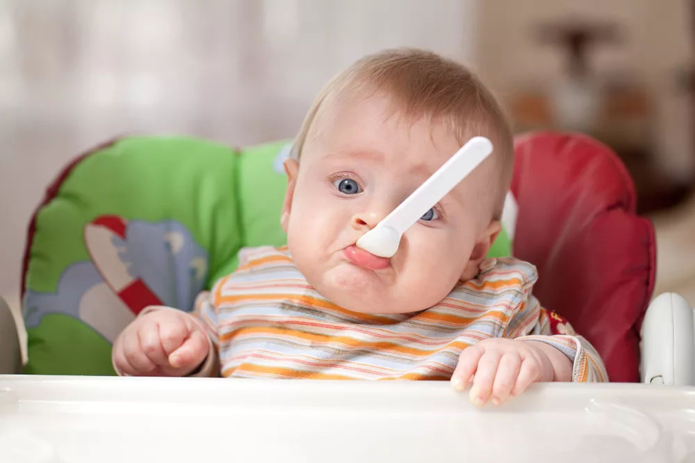 14个月的宝宝怎么吃菠菜