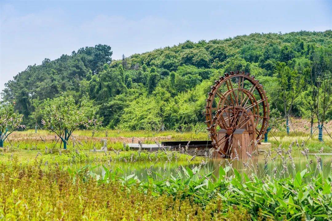 "乡村休闲旅游农业专场推介活动在我度假区仙姑村·一号农场成功举办!