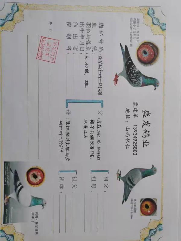 王冠军书法 b1a13812df4c4aed8a63cf1a293240b9.jpeg