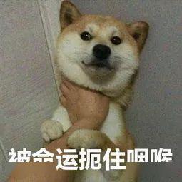 又想扼住你命运的咽喉