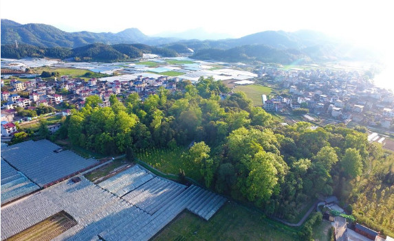 福建建阳:学习先进经验 助力水南农民探索"圆梦村"之路