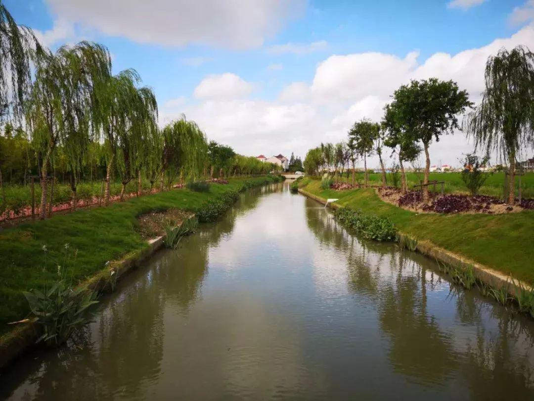 月浦镇月狮村月狮村地处上海北翼,市级公路蕰川公路穿境而过,村境交通