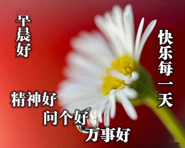 ccefc789cf4c4a8dac540eee9b4447eb.jpeg