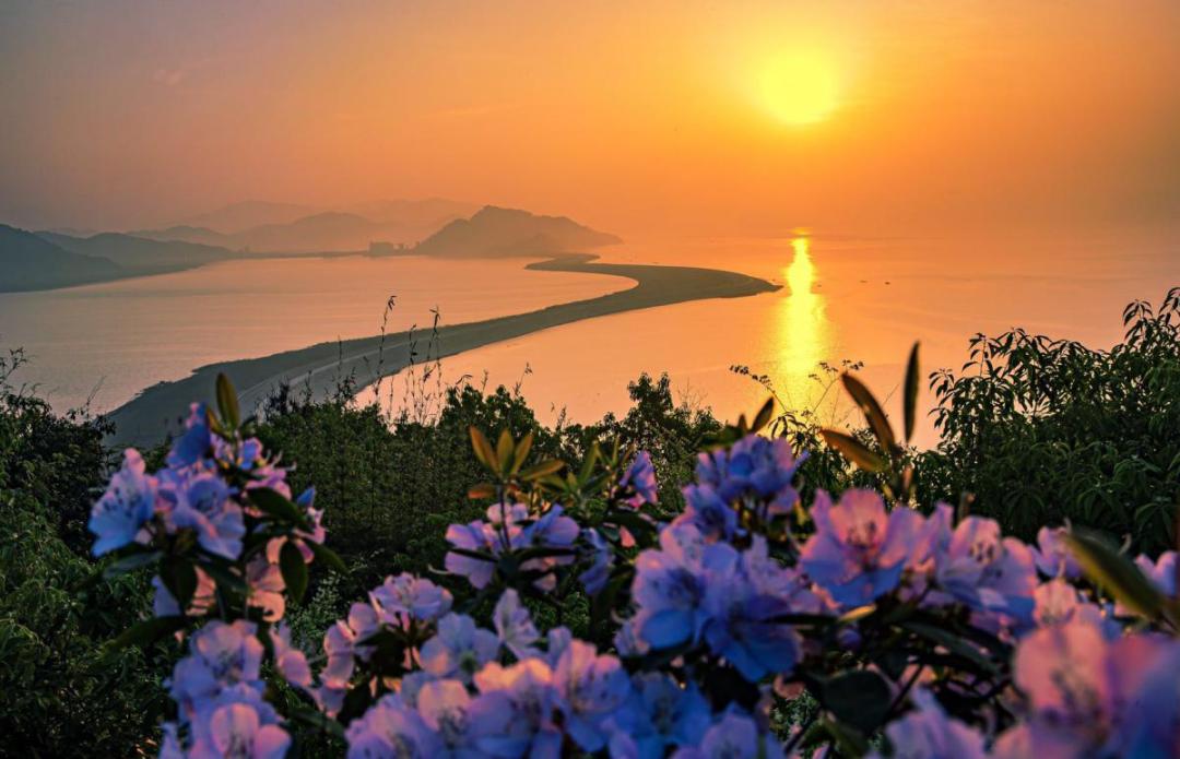 今天,来自宁波滨海旅游休闲区管委会的代表,来自