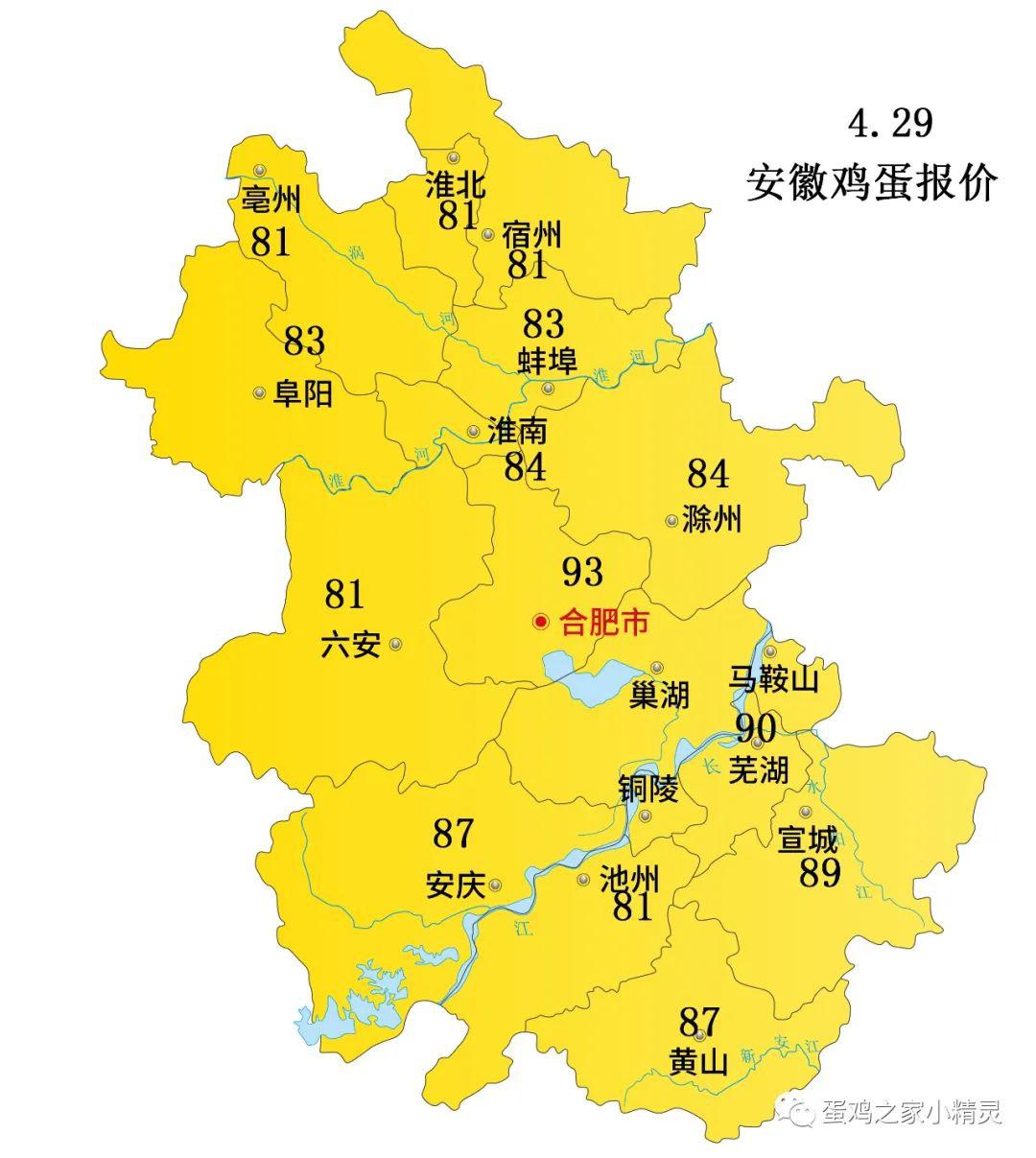 新联鸡蛋报价-4.29_利辛县