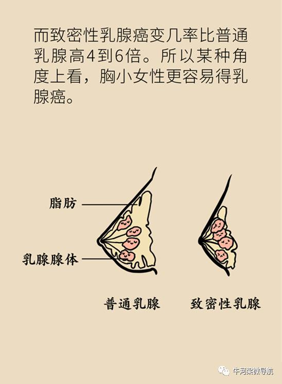 牛河梁科普朝阳胸小就和乳腺癌无缘了吗大错特错