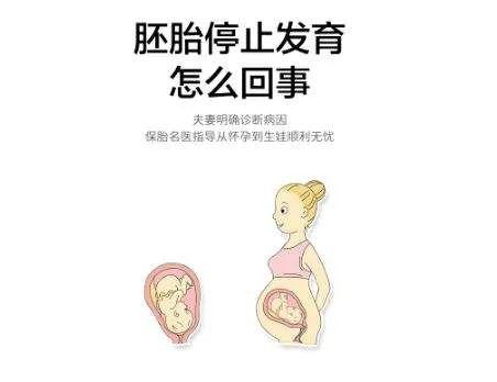 好好的,为什么突然间胚胎就停止发育了?