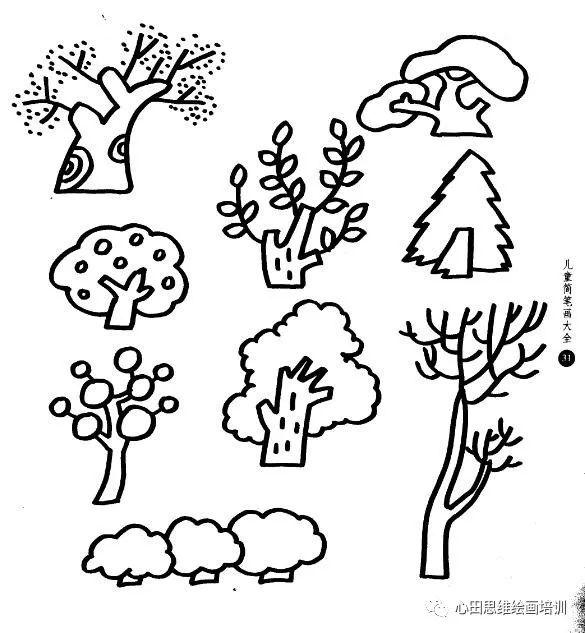 植物是生命的主要形态之一,包含了树木,灌木,藤类,青草,蕨类,及绿藻