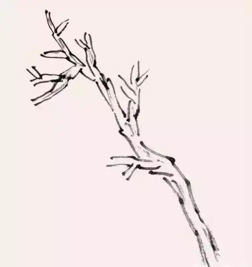 国画教程:12种点叶画法