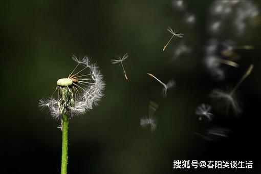 fd5fc872d2ef41e684a8d216bf077cbb.jpeg