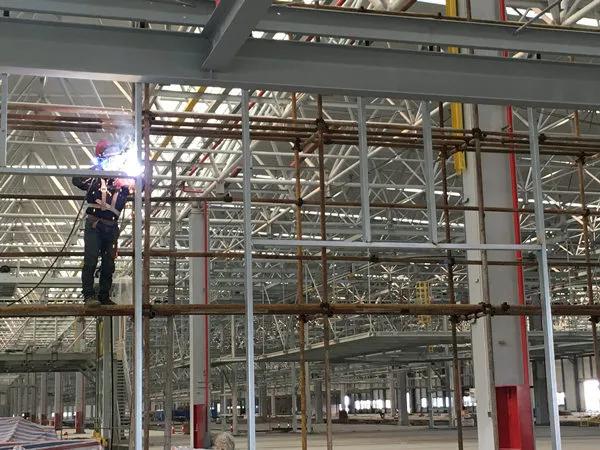 外交部:中国决定参加世卫组织国际合作倡议
