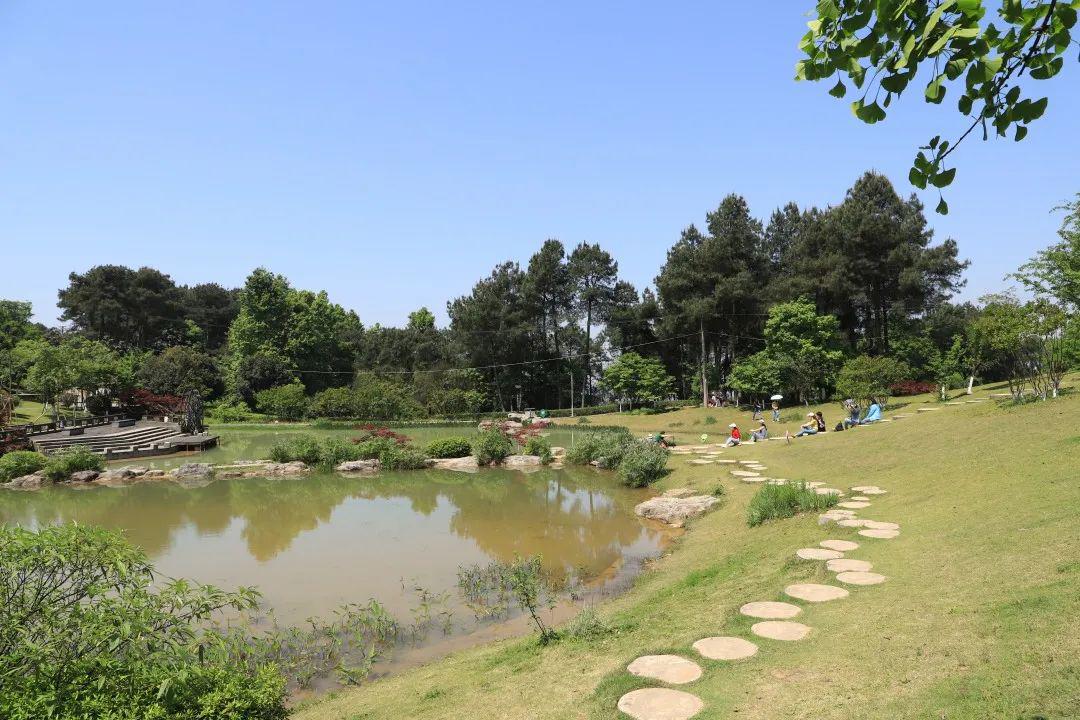 五一来铁山坪,吸氧,赏花,露营,吃鸡