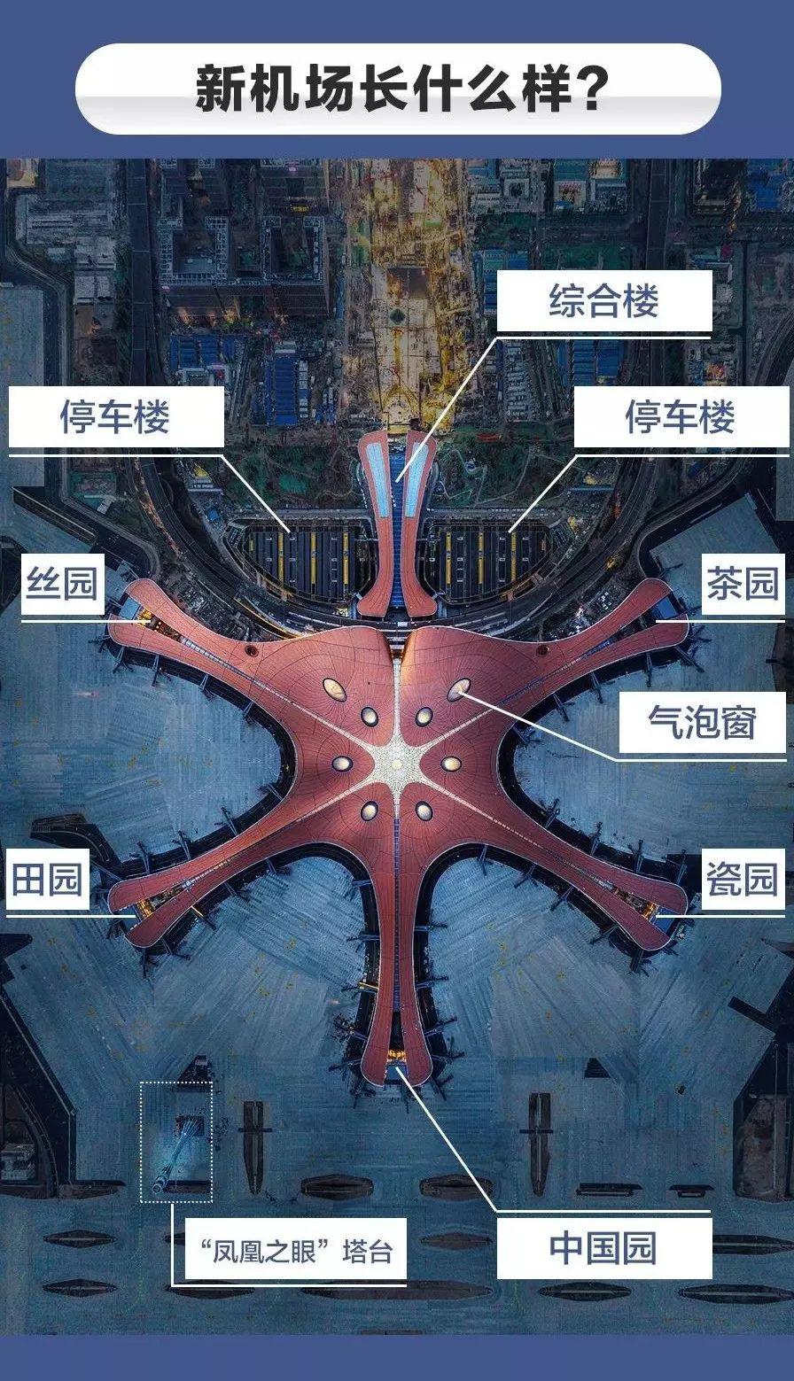 北京大兴机场全貌平面设计图