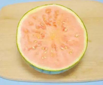 1b021ab58faa4ab0aa7d15a748c4cc33.jpeg