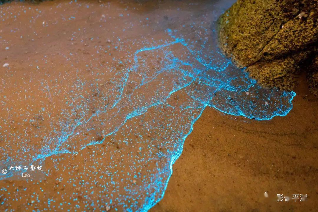 当夜看最佳的平潭蓝眼泪 银河星空!