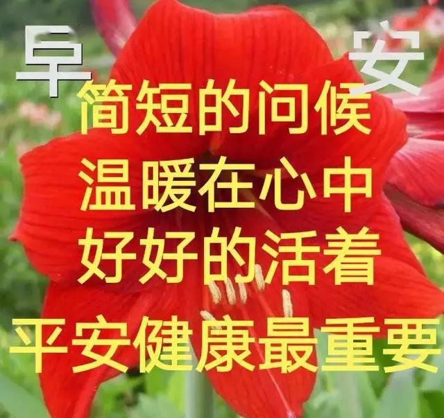 早上好动图表情2020年 早上好动图表情包微信