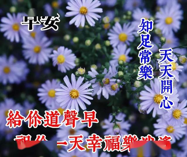 夏天大家早上好祝福语图片表情大全 早晨好图片动态