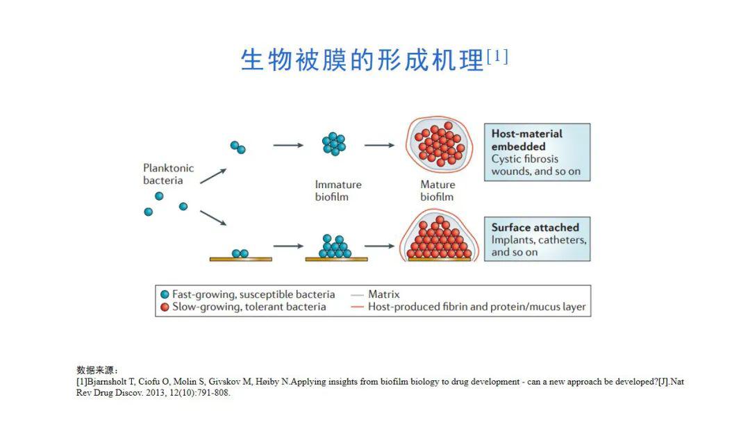 让耐药菌无所遁形,惠可宁可有效对抗细菌生物被膜的形成