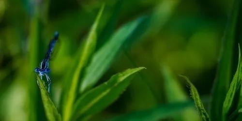 『零点』天津中医药大学2020年招生宣讲会答《零点高三》粉丝问