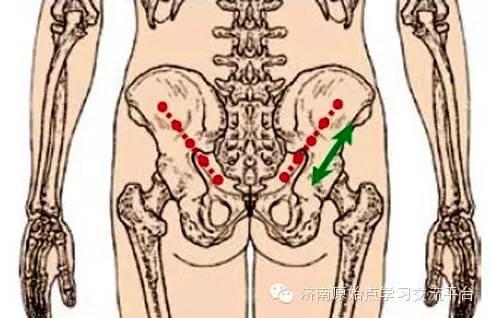 臀部痛,下腹部痛按推荐椎原始点 臀部位置是指髂骨上缘以下到臀横纹