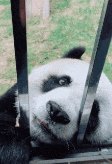 搞笑gif趣图:妹子,你是不是太懒了,这样洗头有效果吗?