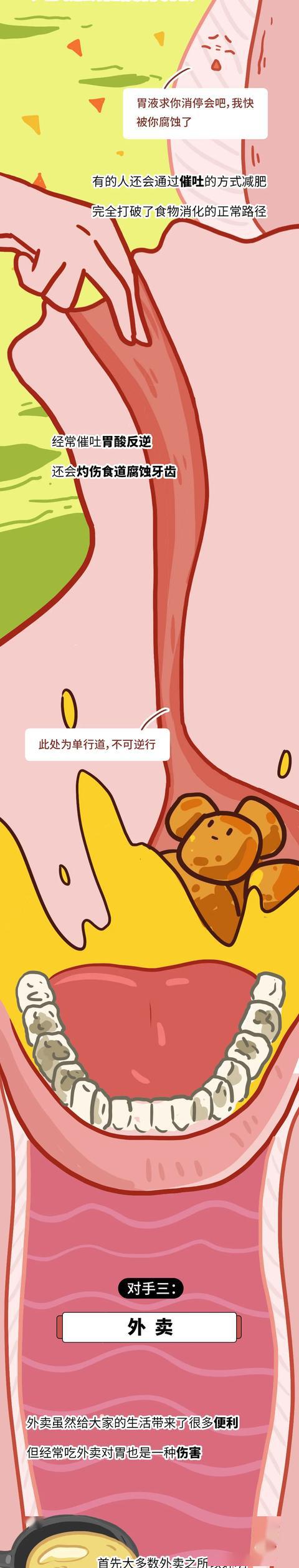 年轻人的胃是怎样崩坏的?
