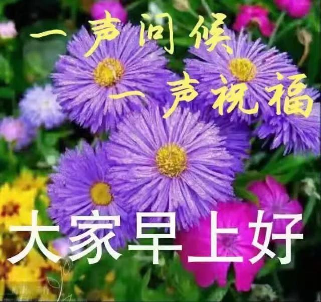 4张春暖花开早安图片带字,唯美的微信朋友圈早上好图片带祝福语