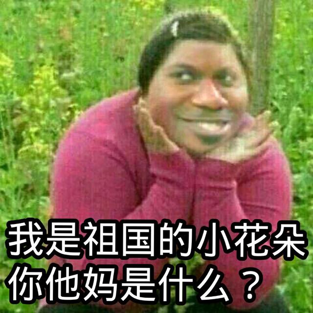 打人沙雕表情包我是祖国的花朵你是个什么东西