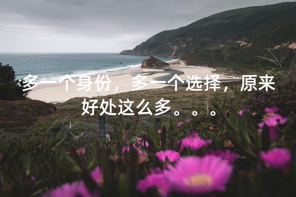 多一个身份怎么说