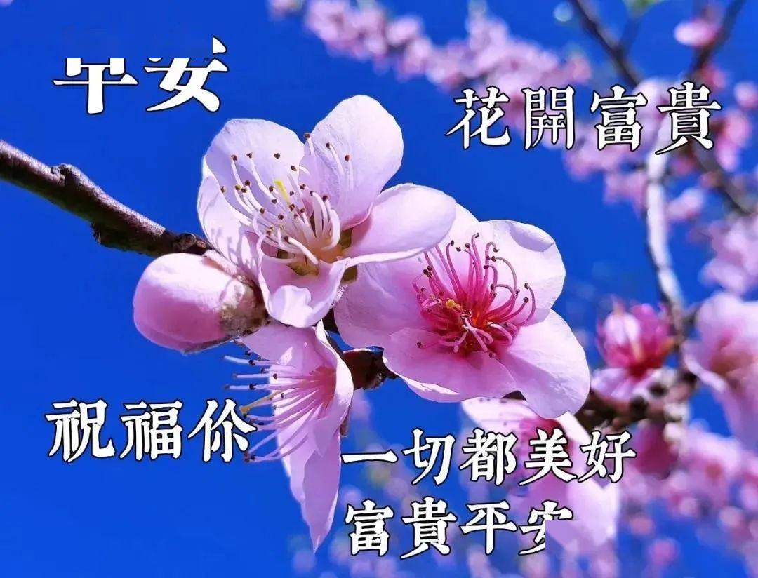 5月最新早上好问候表情祝福图片 最新5月清晨好早安问候祝福表情图片