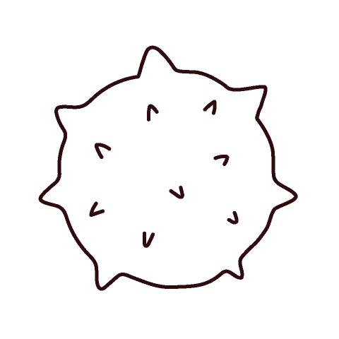 白细胞